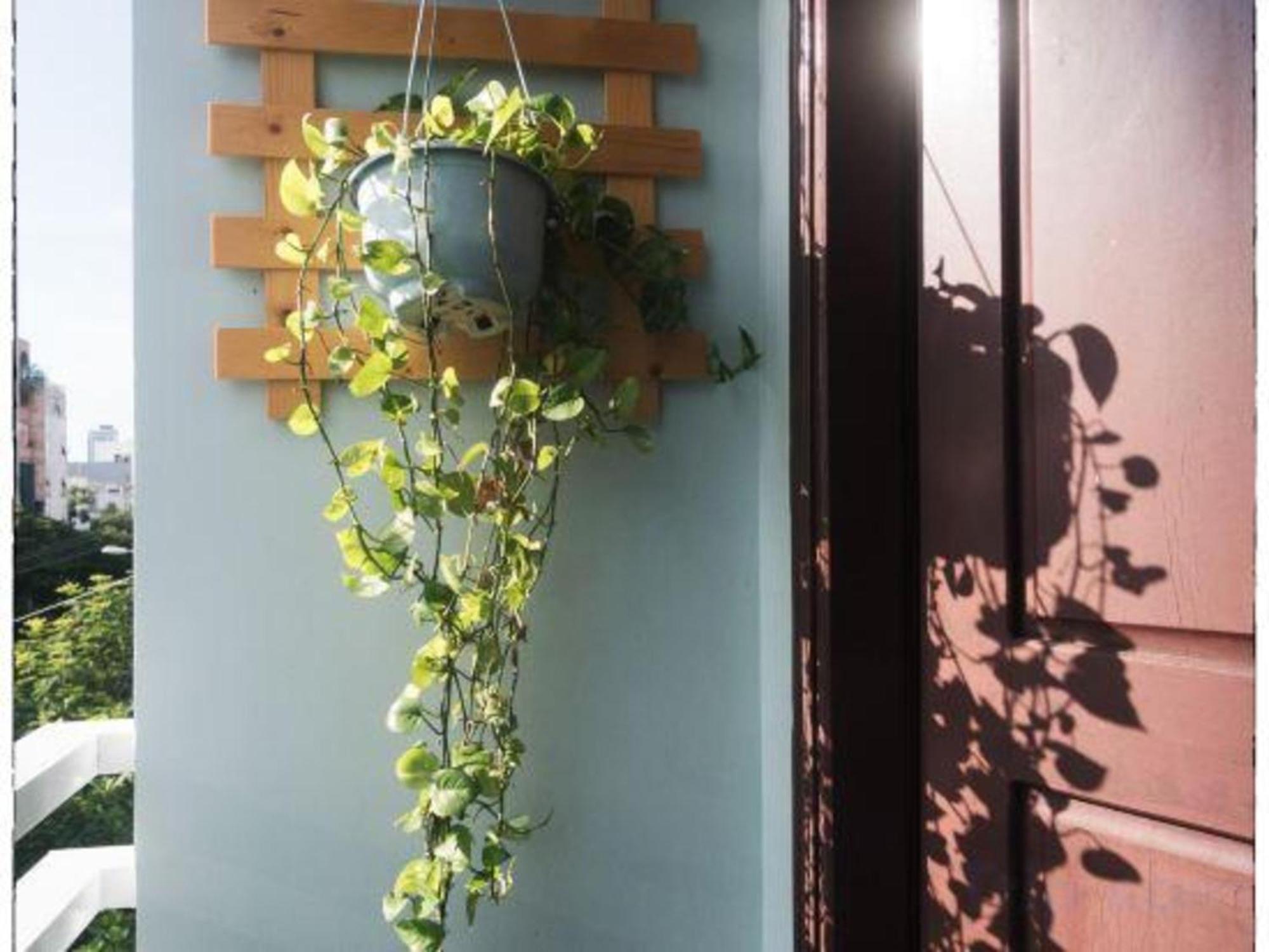 Oyo 1168 Elly'S Home 2 Da Nang Exterior foto